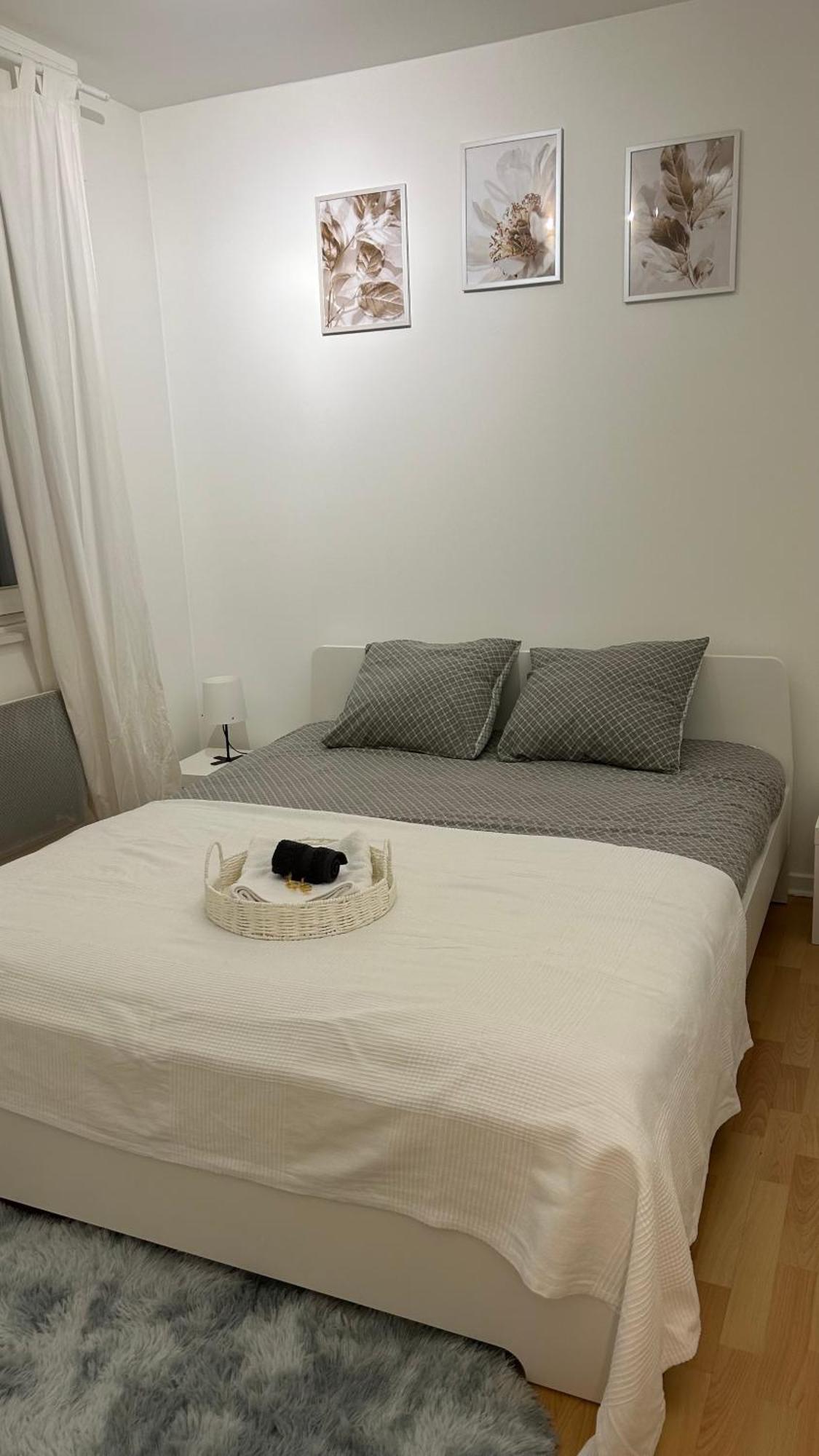 Appartement Frontiere Luxembourg 티옹빌 외부 사진